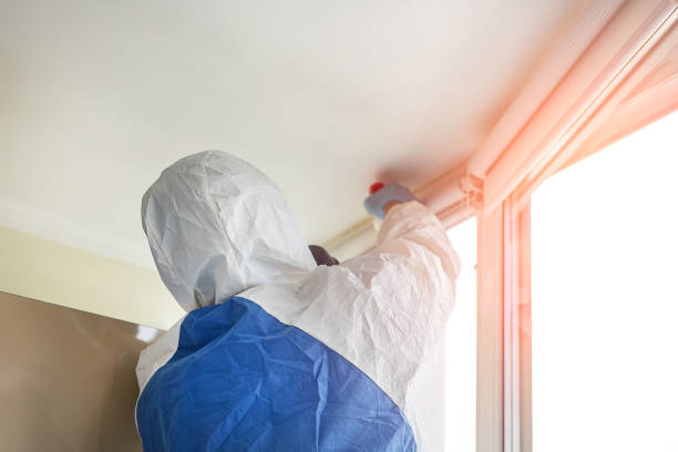 Why You Should Choose Our Mold Remediation Services in Thorndale, TX