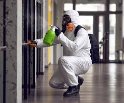 Professional Mold Inspection in Thorndale, TX